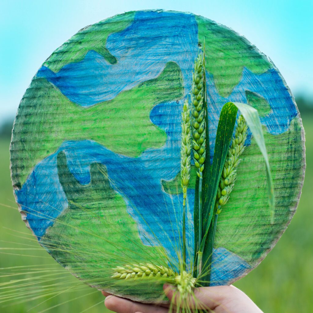 ENVIRONMENTAL CARE